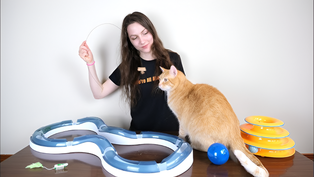 Fun Pet Toys for Every Pet